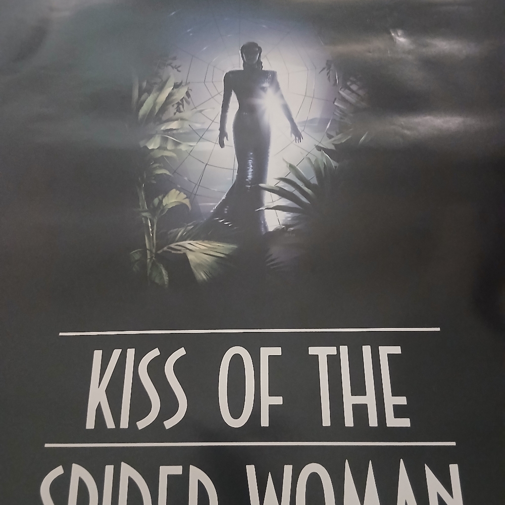 Kiss of the Spider Woman Movie Poster 41"×27" - Picture 6 of 7